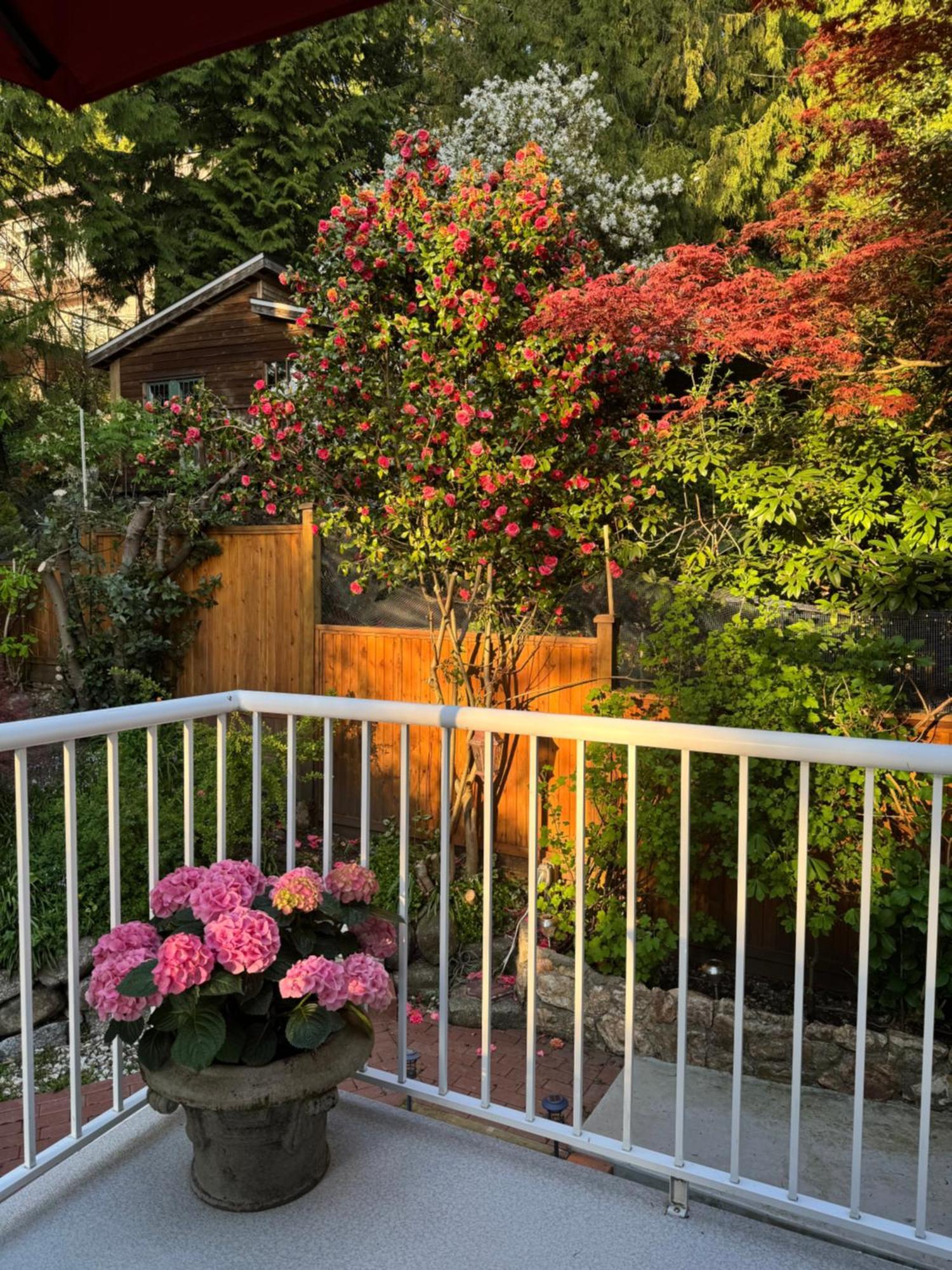 Beautiful Modern Suite North Vancouver Esterno foto