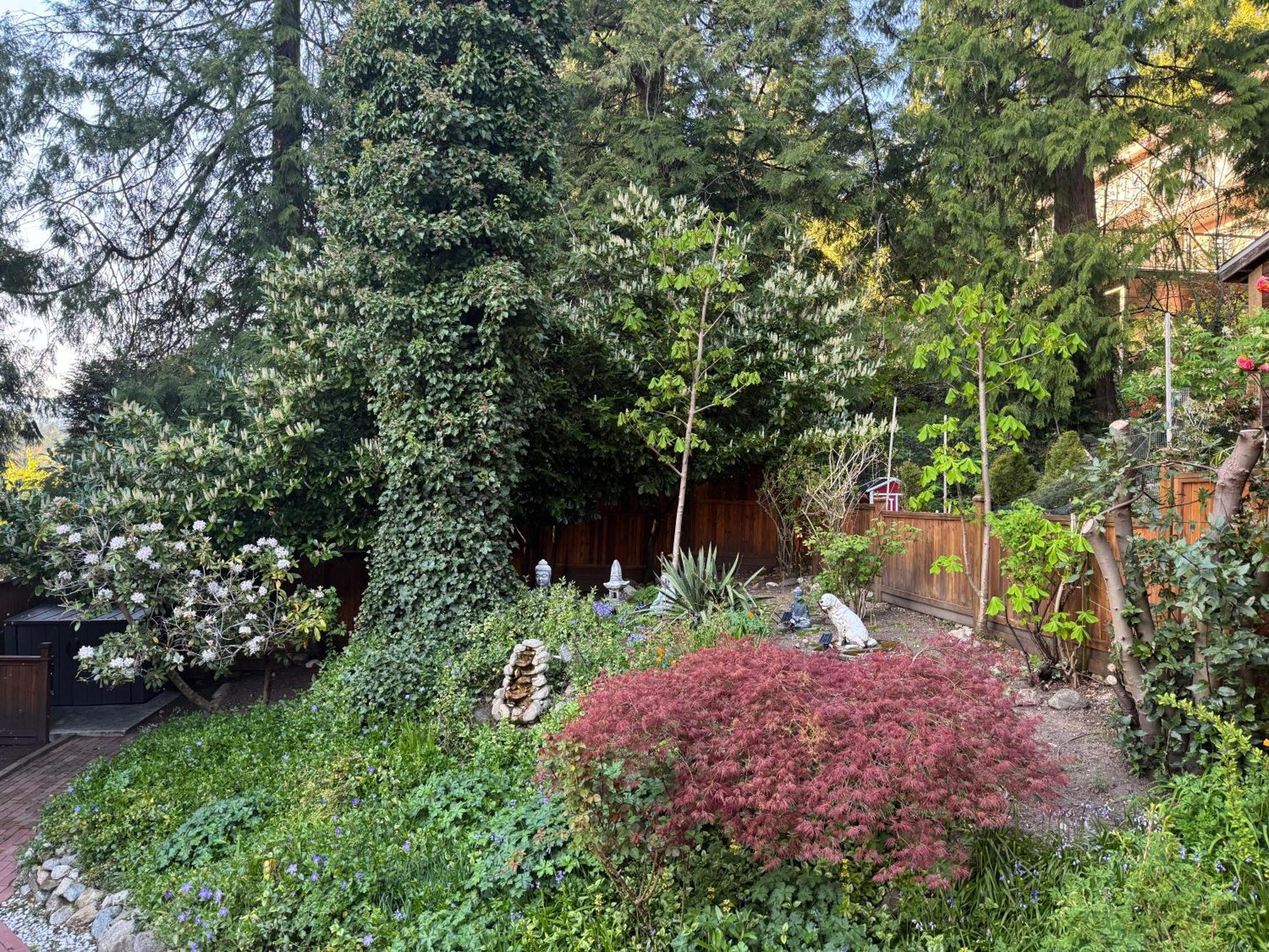 Beautiful Modern Suite North Vancouver Esterno foto