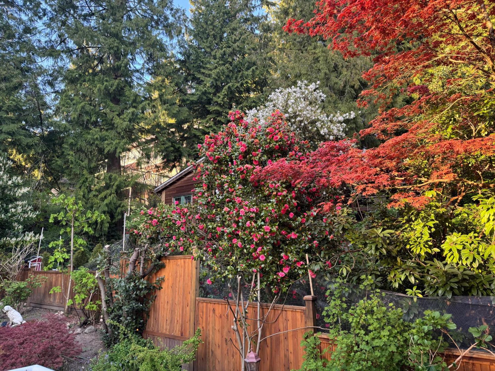 Beautiful Modern Suite North Vancouver Esterno foto